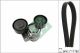 Schaeffler INA Keilrippenriemensatz 529 0510 10
