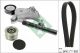 Schaeffler INA Keilrippenriemensatz 529 0513 20