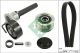 Schaeffler INA Keilrippenriemensatz 529 0514 20
