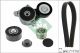 Schaeffler INA Keilrippenriemensatz 529 0515 20