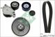 Schaeffler INA Keilrippenriemensatz 529 0516 20