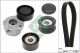 Schaeffler INA Keilrippenriemensatz 529 0538 10