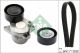 Schaeffler INA Keilrippenriemensatz 529 0539 10