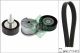 Schaeffler INA Keilrippenriemensatz 529 0550 10