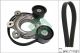 Schaeffler INA Keilrippenriemensatz 529 0556 10