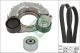 Schaeffler INA Keilrippenriemensatz 529 0560 10