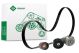 Schaeffler INA Keilrippenriemensatz 529 4203 10