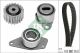 Schaeffler INA Zahnriemensatz 530 0038 10