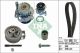 Schaeffler INA Wasserpumpe + Zahnriemensatz 530 0091 31