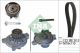 Schaeffler INA Wasserpumpe + Zahnriemensatz 530 0175 31