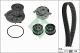 Schaeffler INA Wasserpumpe + Zahnriemensatz 530 0358 31