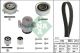 Schaeffler INA Wasserpumpe + Zahnriemensatz 530 0550 32