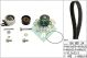 Schaeffler INA Wasserpumpe + Zahnriemensatz 530 0624 30