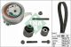 Schaeffler INA Zahnriemensatz 530 0699 10