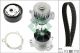 Schaeffler INA Wasserpumpe + Zahnriemensatz 530 0663 30