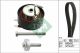 Schaeffler INA Zahnriemensatz 530 0693 10