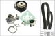 Schaeffler INA Wasserpumpe + Zahnriemensatz 530 0700 30