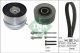 Schaeffler INA Zahnriemensatz 530 0724 10