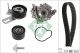 Schaeffler INA Wasserpumpe + Zahnriemensatz 530 0760 30