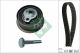 Schaeffler INA Zahnriemensatz 530 0839 10