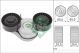 Schaeffler INA Riemenspanner, Keilrippenriemen 534 0696 10