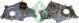 Schaeffler INA Wasserpumpe, Motorkühlung 538 0123 10