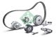 Schaeffler INA Kettenspanner, Ölpumpenantrieb 551 0288 10