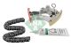 Schaeffler INA Steuerkettensatz 558 0026 10