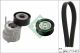 Schaeffler INA Steuerkettensatz 559 1827 20
