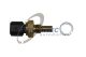 TRUCKTEC AUTOMOTIVE Sensor, Kühlmitteltemperatur 02.42.399