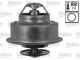 VALEO Thermostat, Kühlmittel 819933