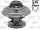 VALEO Thermostat, Kühlmittel 819970