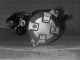 VALEO Starter 458320