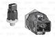 VALEO Klopfsensor 255400