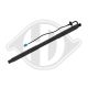 DIEDERICHS Gasfeder, Koffer-/Laderaum 9100599