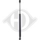 DIEDERICHS Gasfeder, Koffer-/Laderaum 9121600