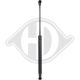 DIEDERICHS Gasfeder, Motorhaube 9121601