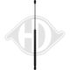 DIEDERICHS Gasfeder, Koffer-/Laderaum 9142801