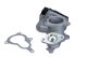 MAXGEAR AGR-Ventil 27-0238