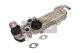 MAXGEAR Kühler, Abgasrückführung 27-4012