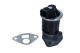 MAXGEAR AGR-Ventil 27-4042