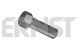 ERNST Schraube 430234