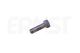 ERNST Schraube, Abgasanlage 495530