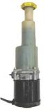 LIZARTE Hydraulikpumpe, Lenkung 04.55.1100