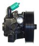 LIZARTE Hydraulikpumpe, Lenkung 04.94.0525-1