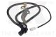 NK Sensor, Raddrehzahl 295202
