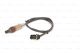 BOSCH Lambdasonde 0 258 005 163