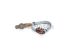 BOSCH Lambdasonde 0 258 006 171