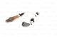 BOSCH Lambdasonde 0 258 006 344