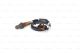 BOSCH Lambdasonde 0 258 006 346
